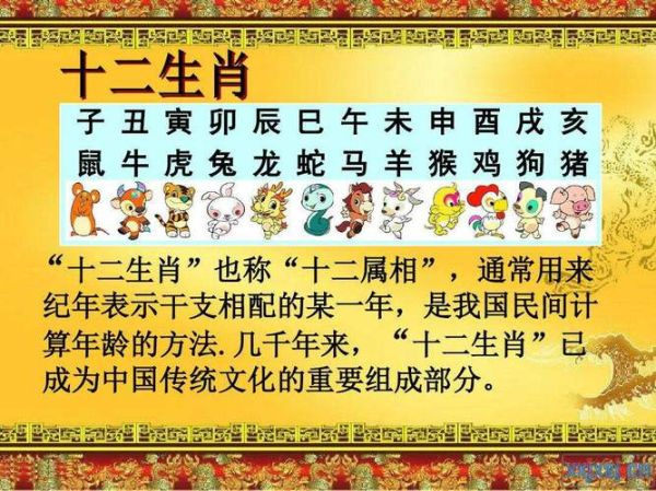 生肖属相婴儿鞋（新生儿生肖鼠婴儿鞋选购指南）