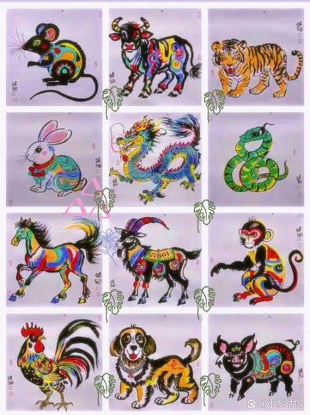 徐立国属于什么生肖属相（徐立国属什么生肖）