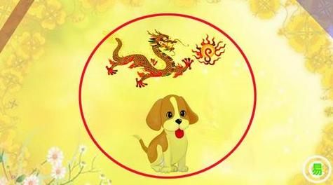 属相披靡的生肖是什么(属相披靡的生肖是生肖龙吗?)