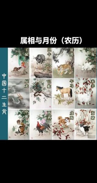 属相生肖月(属相生肖月份对照表查询速览)
