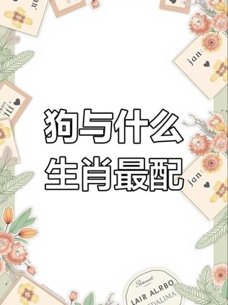 属狗属相合的生肖(属狗的和什么属相最配?)