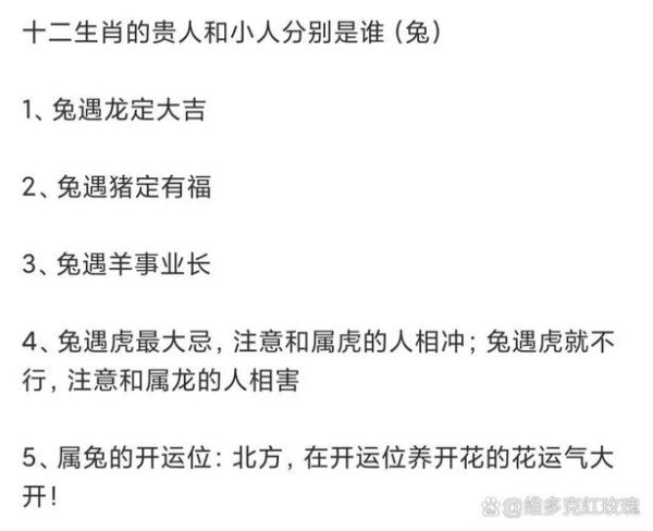 属相和什么生肖合作（属兔的人和什么生肖合作最旺财运）