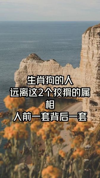 生肖狗怕啥属相的人（生肖狗最怕什么属相的人，答案在这里！）