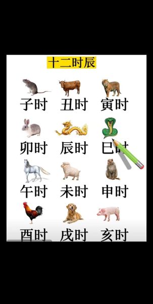 生肖属相每年交替时间（生肖切换具体是在哪一天？🧧）