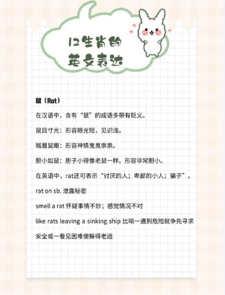 生肖属相英文（生肖属相英文怎么说最地道？）