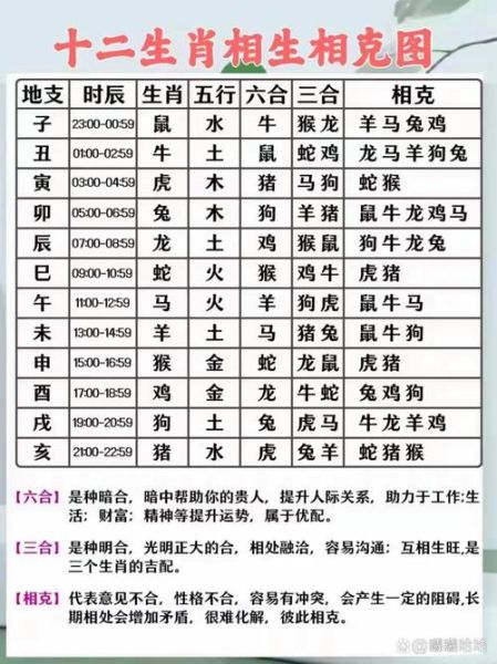 生肖属相与生肖属相的相克有哪些（生肖属相相克有哪些？超全避坑指南👀）