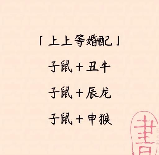 属相爱情的生肖（生肖鼠爱情配对指南）