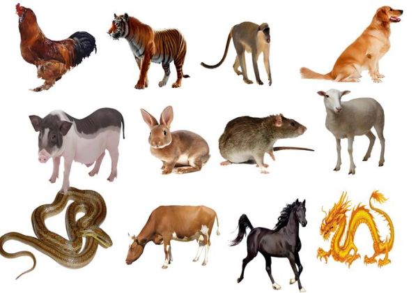 全球哪个生肖属相最多