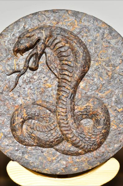 十二生肖茶属相（十二生肖茶属相含义是什么）