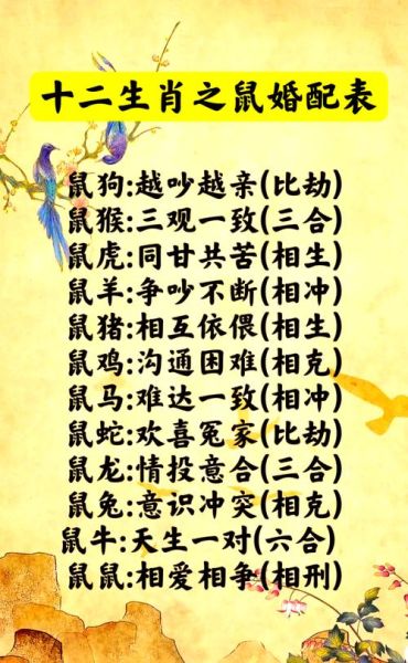 各属相最佳绝配生肖(属鼠的最佳绝配是什么生肖)