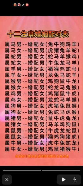 生肖鸡和生肖属相配吗女（生肖鸡和什么属相合女婚姻配对）