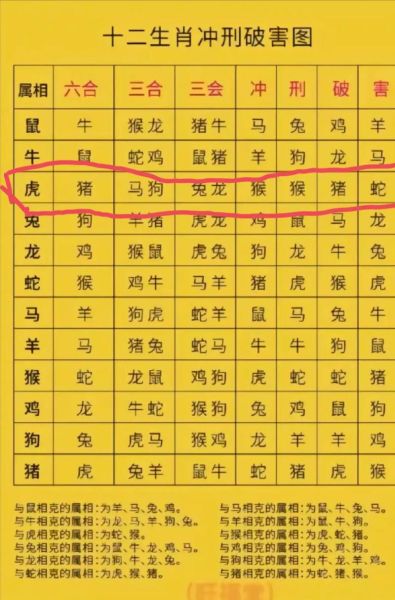 白云生肖属相是什么生肖(白云是什么生肖?一篇看懂属相逻辑)