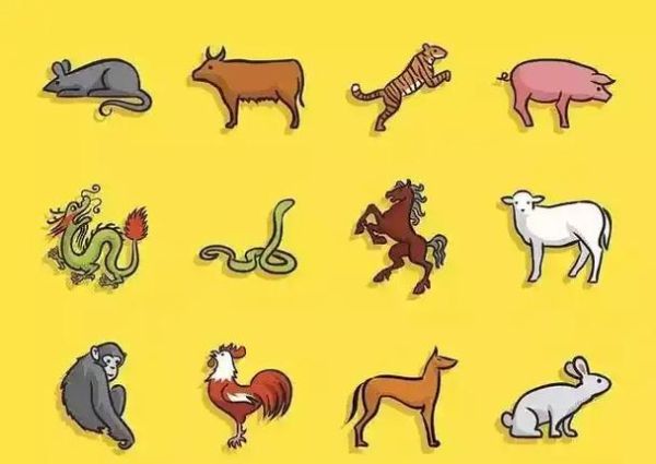 14岁属相是什么生肖(14岁属什么生肖2025)