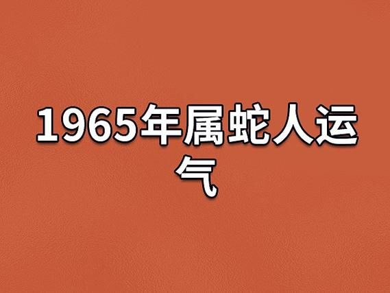 65年什么生肖属相（1965年属什么生肖？一查便知！）
