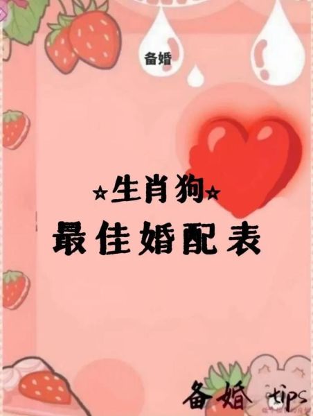 生肖狗结婚忌属相（属狗结婚忌讳哪些属相最该避开）