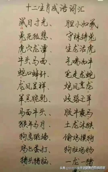 明星分析生肖属相图(明星生肖属相性格对照表👑)