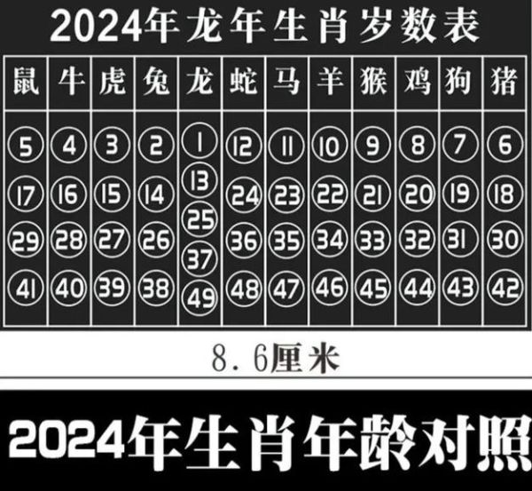 生肖属相数字图片表(生肖属相数字对照表高清图哪里找)