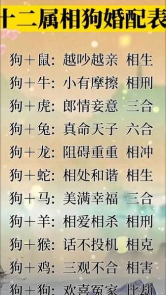 十二生肖狗男配什么属相（狗男到底配什么属相女孩）