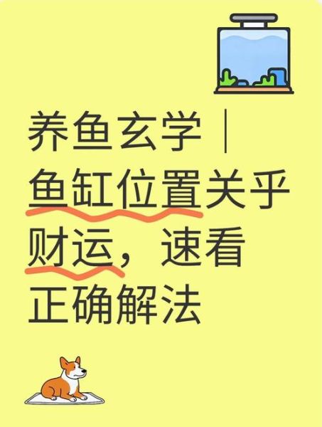哪些生肖属相不能养鱼（生肖不能养鱼是真的吗？）
