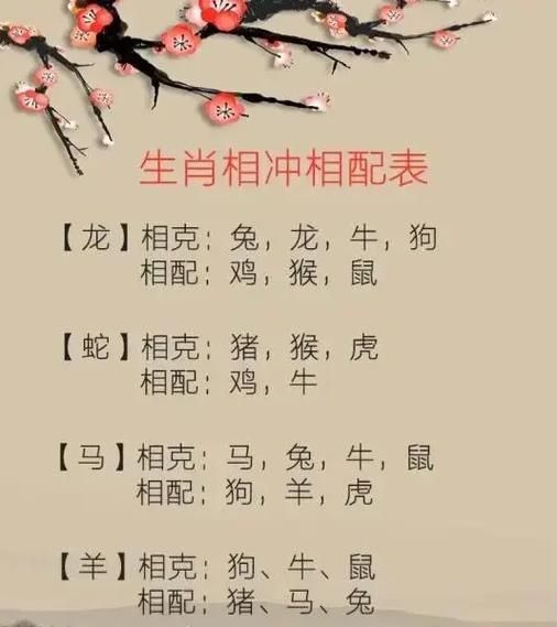 属相兔的生肖配对(属兔和什么属相最配?小白必看)