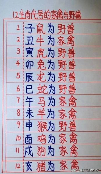 什么生肖属相是禽（禽类生肖到底属什么？）