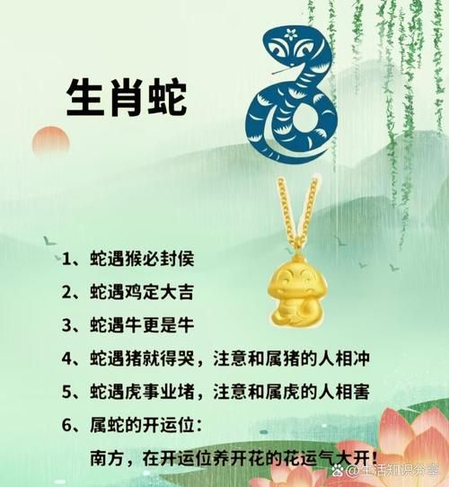 属相哪几生肖最好命（哪个属相最好命？生肖贵人排行榜👑）