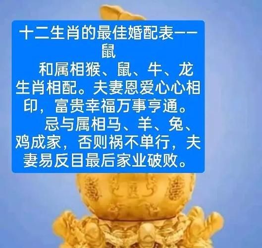 生肖属相老鼠配对（属鼠的和什么属相最配？）