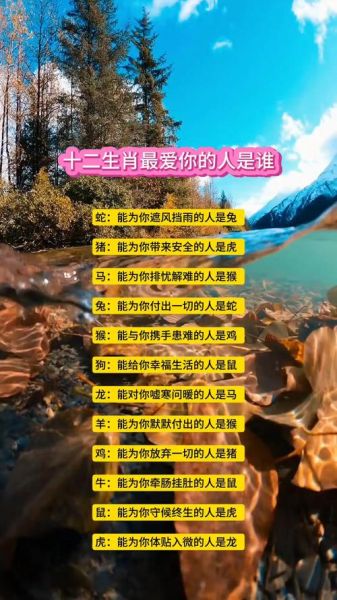 爱你的生肖属相（爱你的生肖属相是什么意思）