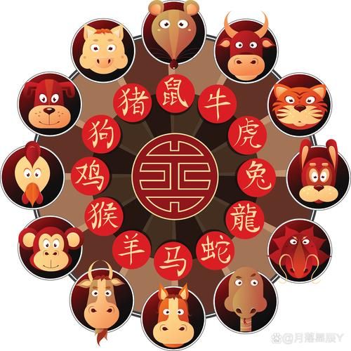 一匹黑马属相什么生肖（一匹黑马属什么生肖答案揭晓）