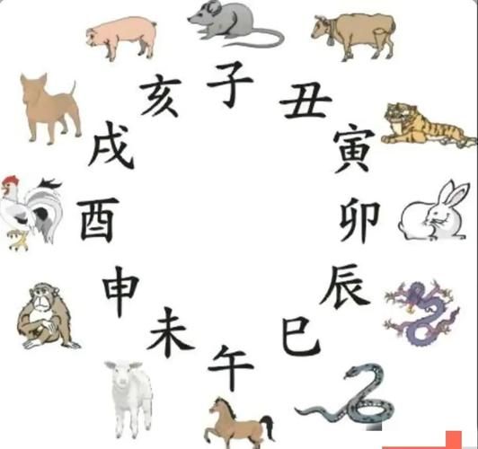 十二生肖官员属相