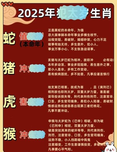 生肖属相2025年（2025年属什么生肖？新手一看就懂）