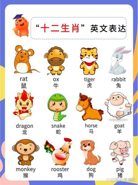 生肖属相英文表达（生肖英文怎么说？完整攻略来了）