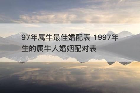 97属什么生肖配偶属相(97年属牛的命中配偶属相是谁)