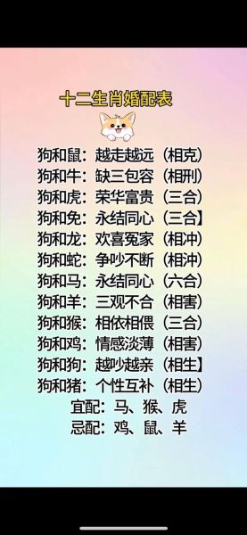 同属相最佳搭配生肖(同属相最佳配对生肖有哪些)