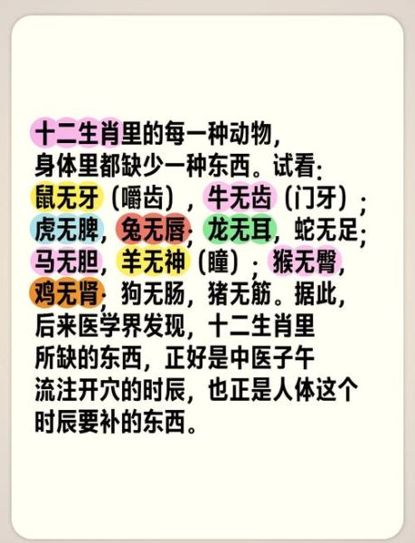 张无艳生肖属相（张无艳生肖属相是什么）