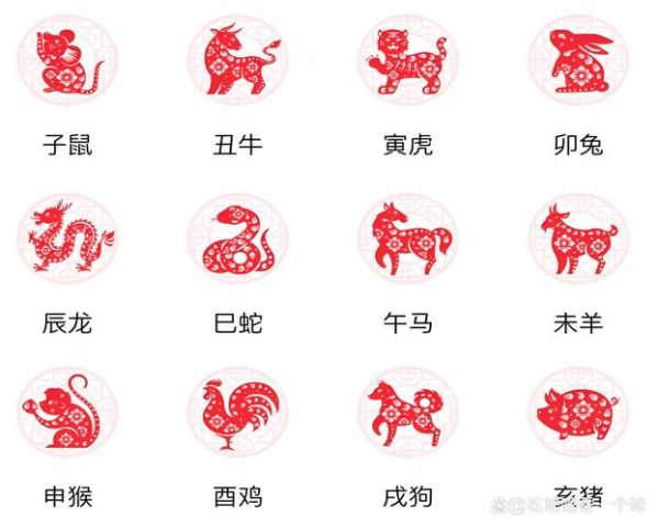 十二个生肖属相对照表(2024最新十二生肖对照表)