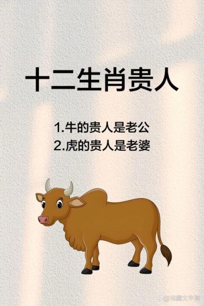 易奇生肖每日贵人属相(易奇生肖今日贵人是谁😍)