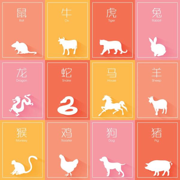 211年属相生肖（211年出生属什么生肖？✨）