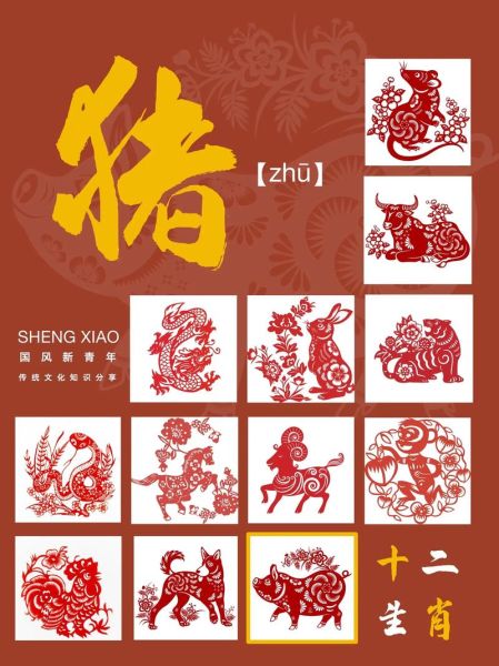 属相猪属于什么生肖（属相猪属于哪一生肖）