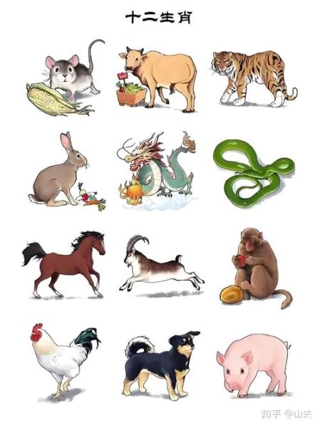 十二属相都有哪一些生肖