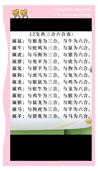 同属相合的生肖(同属相合的生肖有哪些)