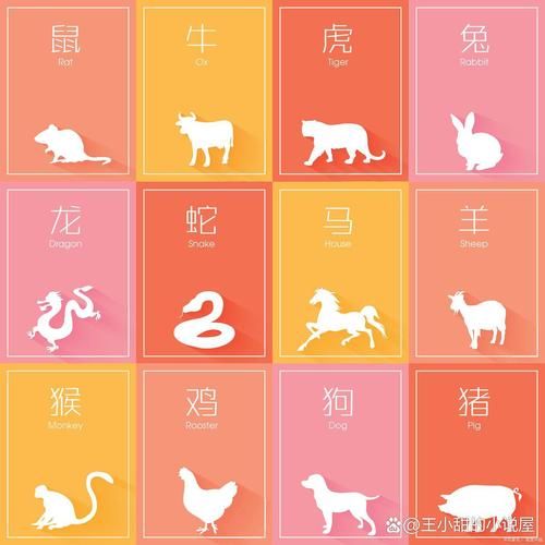 东晋属什么生肖属相(东晋属相是什么生肖?入门一看就懂!)