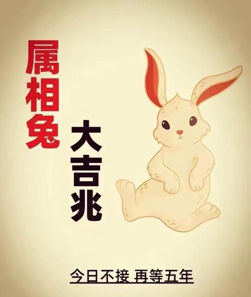兔下面属相是什么生肖（兔后面是什么生肖）