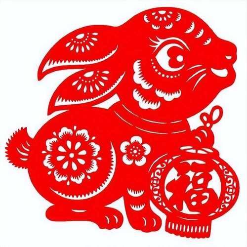 日本兔子生肖属相（日本兔子生肖属相是什么动物？）