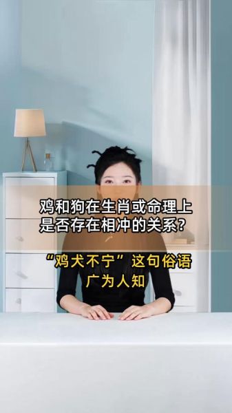 生肖鸡配狗什么属相（生肖鸡和狗相冲吗婚姻如何化解）