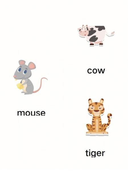 十二生肖属相英文（十二生肖属相英文对照表）