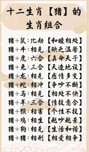 猪生肖配什么属相（猪生肖配什么属相最好）