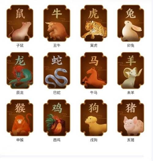 想看十二生肖属相（十二生肖查询属相对照表）