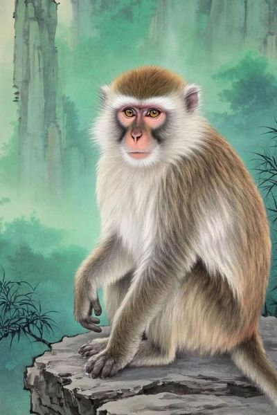 心软的生肖属相有哪些（心软生肖排行榜有哪些）