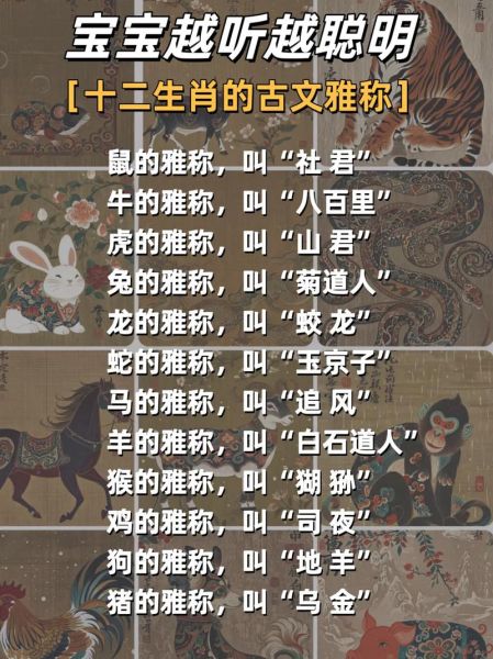 博雅属相什么生肖（博雅属相属什么生肖？）